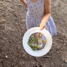 Sommerfest 2026