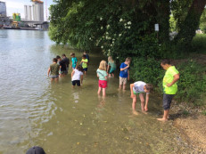 Sommertag am Rhein