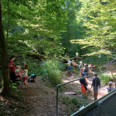 Waldgeflüster