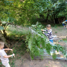 Waldgeflüster