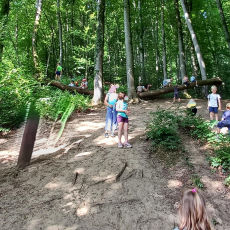 Waldgeflüster