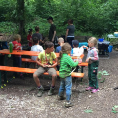 Waldwoche für Naturstrolche