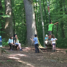 Waldwoche für Naturstrolche